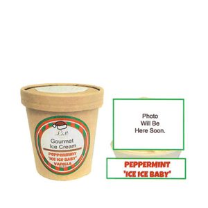 A brown container labeled "Gourmet Ice Cream" with the flavor "Peppermint 'Ice Ice Baby'" stands beside a blank image area marked "Photo Will Be Here Soon.